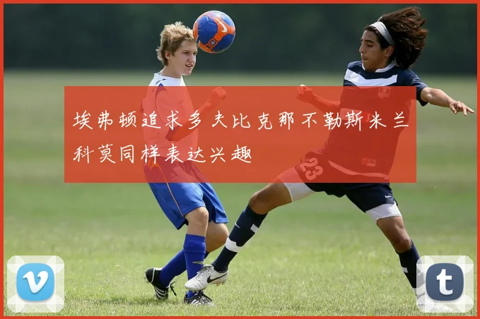 埃弗顿追求多夫比克那不勒斯米兰科莫同样表达兴趣