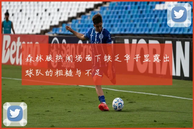 森林狼热闹场面下缺乏华子显露出球队的粗糙与不足